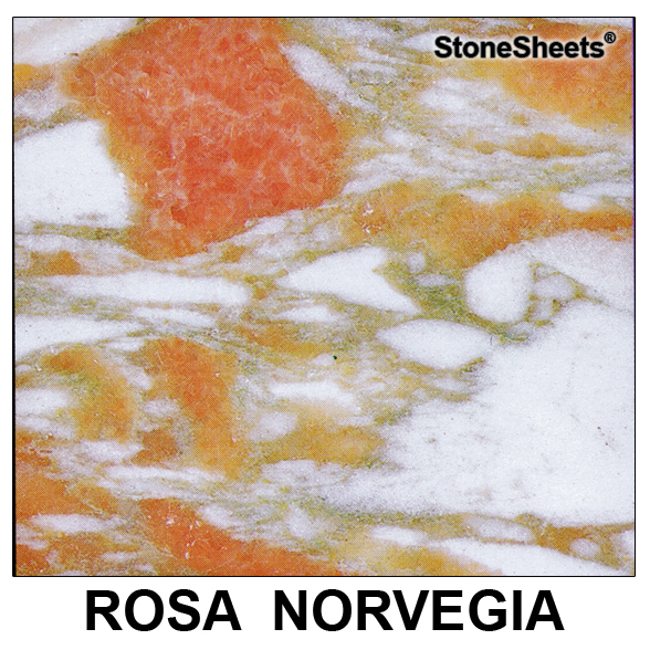 Rosa Norvegia